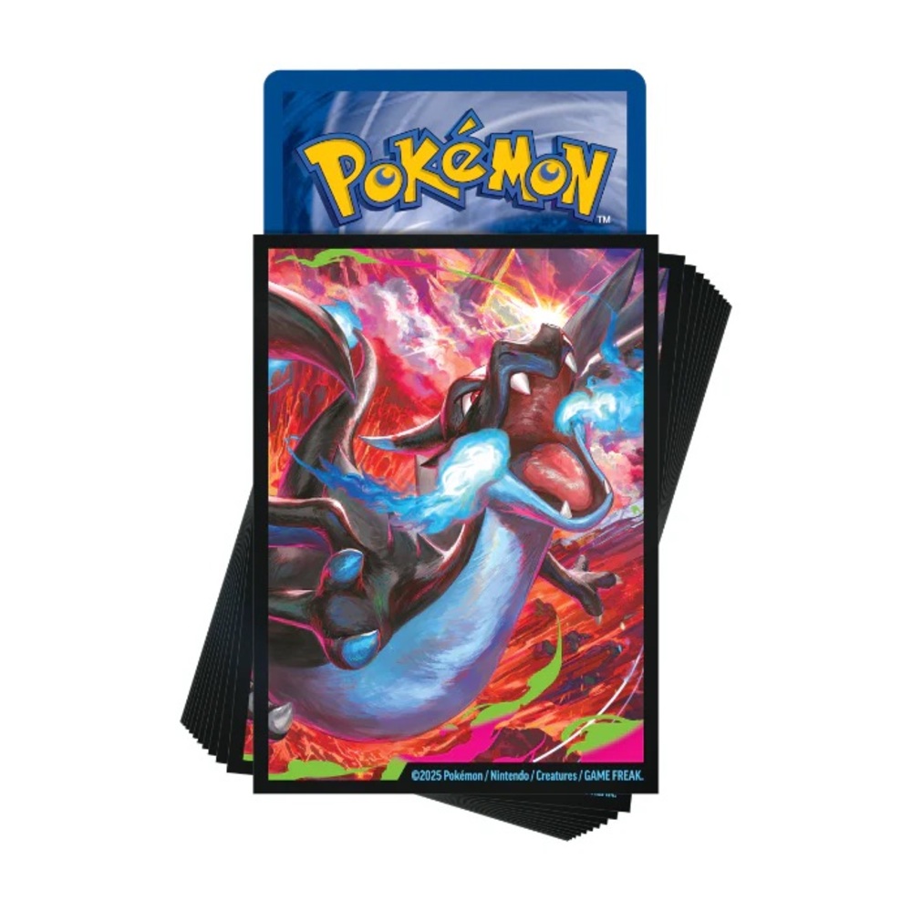 Pokemon Mega Charizard X Ex Accessories - Picture 4 of 4